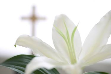 https://catholicparishesofborehamwood.files.wordpress.com/2011/09/mp900411764.jpg